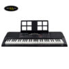 dan-organ-casio-ct-x3000