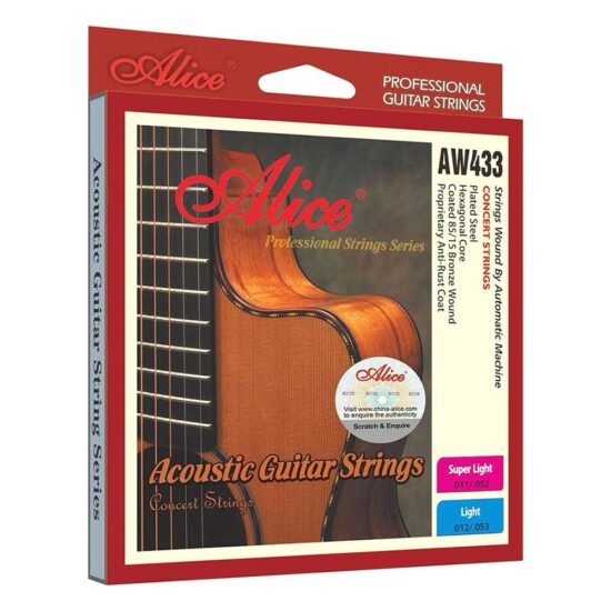 day-dan-acoustic-guitar-alice-aw433