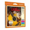 day-dan-acoustic-guitar-alice-aw436-