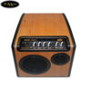 ampli-acoustic-b-band-uros (2)