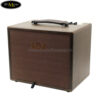 ampli-dan-acoustic-va-classic-guitar-aga-sc-100-iii-cong-suat-100w (3)