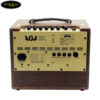 ampli-dan-acoustic-va-classic-guitar-aga-sc-100-iii-cong-suat-100w (4)
