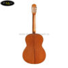 dan-guitar-classic-cordoba-c5-sp-3-4 (4)
