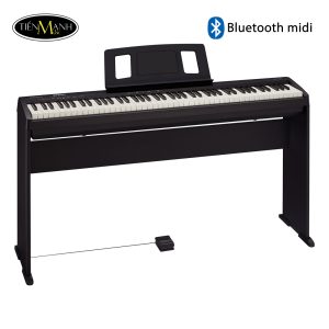 Đàn Piano Điện Roland FP-10, Digital Piano