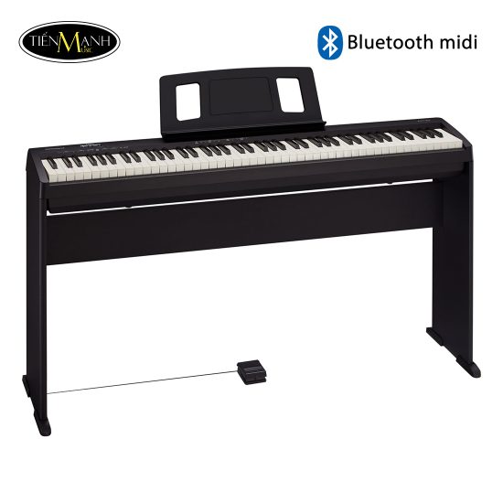 Đàn Piano Điện Roland FP-10, Digital Piano