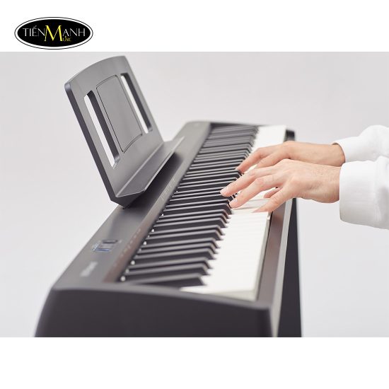 Đàn Piano Điện Roland FP-10, Digital Piano