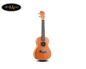 Đàn Ukulele Concert BWS 23 inch B01-23