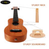 dan-ukulele-kaka-concert-kuc-25 (2)