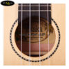 dan-ukulele-kaka-concert-kuc-26d (2)