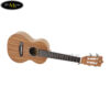 dan-ukulele-kaka-concert-kuc-70 (5)