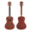 dan-ukulele-lanikai-concert-lu-21c