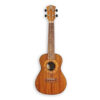 dan-ukulele-pukanala-soprano-pu-nvs