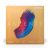 day-dan-violin-daddario-medium-tension-ascente-a310-4-4m