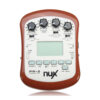 pho-acoustic-guitar-nux-pa-2