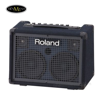roland-kc-220-ampli-trong-20.