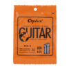 day-dan-guitar-classic-nx35