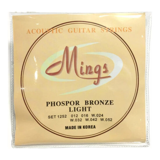 day-guitar-mings-acoustic
