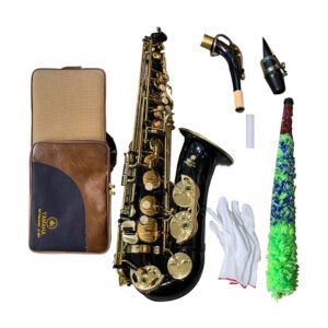 Kèn Saxophone Alto AS100BK4