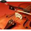 ngua-dan-violin-thuong (2)