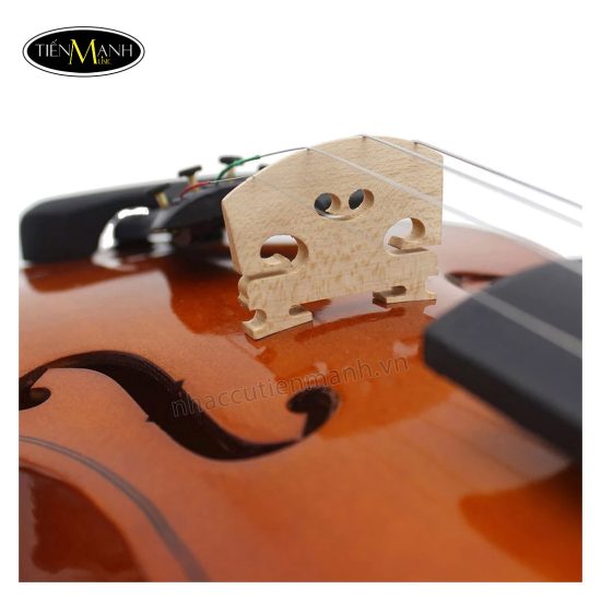 Đàn Violin Omebo RV205 (1/10 1/8 1/4 1/2 3/4 4/4)