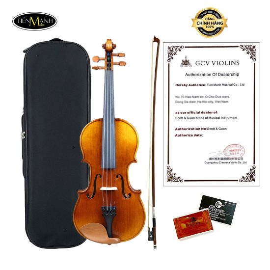 Đàn Violin Scott Cao STV150