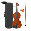 Dan-Violin-Scott-Guan-601-14-12-34-44-41.jp