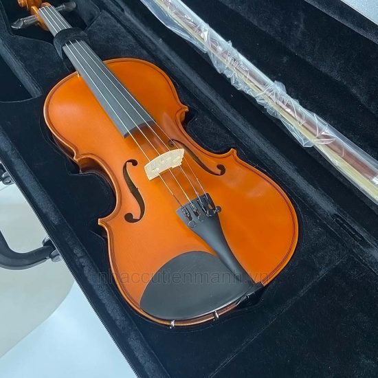 đàn violin scott guan 601 size 1/4 1/2 3/4 4/4 2/4