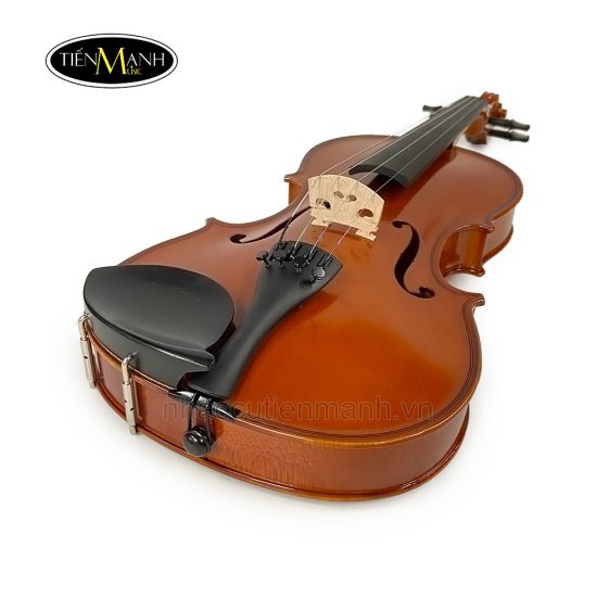 Đàn Violin Scott & Guan 601 (1/4 1/2 3/4 4/4) - Ảnh 5