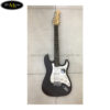 dan-guitar-dien-fender-tq-trung-ran-fd2200e (1)
