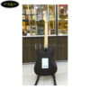 dan-guitar-dien-fender-tq-trung-ran-fd2200e (2)