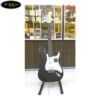 dan-guitar-dien-fender-tq-trung-ran-fd2200e (4)