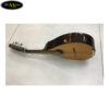 dan-mandolin-viet-nam-tm-dmt9 (2)