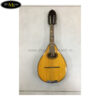 dan-mandolin-viet-nam-tm-dmt9 (5)