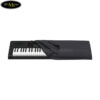 dan-organ-casio-ctk-3400 (4)