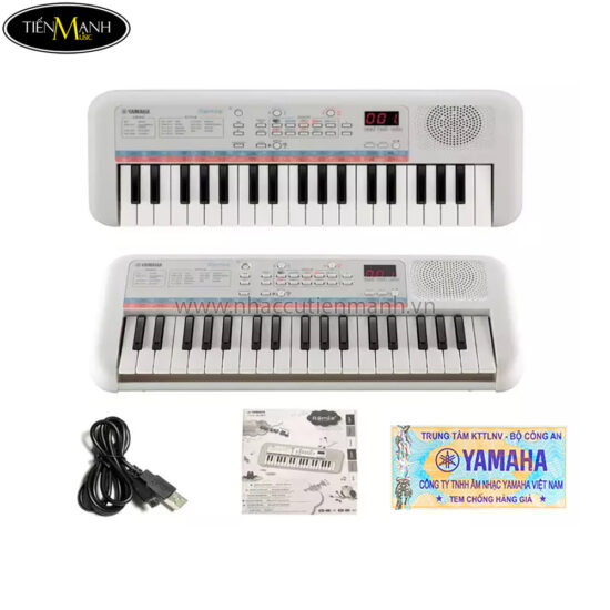 dan-organ-mini-yamaha-pss-e30-28-5