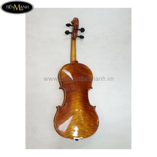 Đàn Violin Scott & Guan STV 012 size 4/4 - Ảnh 11