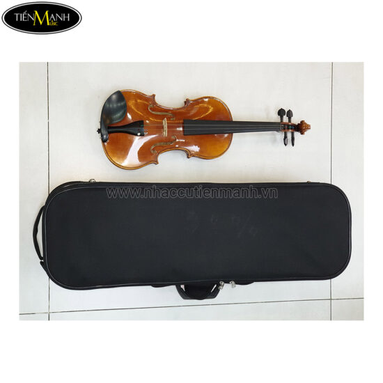 Đàn Violin Scott & Guan STV 012 size 4/4 - Ảnh 12