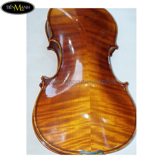 Đàn Violin Scott & Guan STV 012 size 4/4 - Ảnh 2