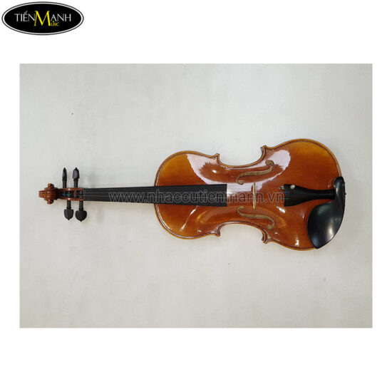 Đàn Violin Scott & Guan STV 012 size 4/4 - Ảnh 3