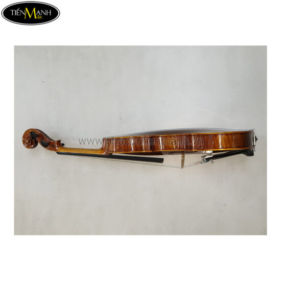 Đàn Violin Scott & Guan STV 012 size 4/4 - Ảnh 6