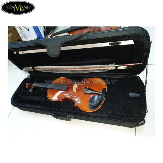 Đàn Violin Scott & Guan STV 012 size 4/4 - Ảnh 8