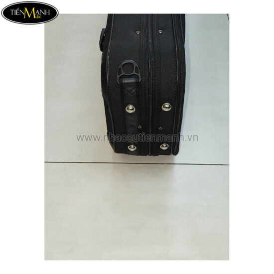 Đàn Violin Scott & Guan STV 012 size 4/4 - Ảnh 9