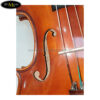 dan-violin-scott-amp-guan-017n-size-4-4 (2)