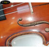 dan-violin-scott-amp-guan-017n-size-4-4 (3)