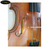 dan-violin-scott-cao-stv-017ce (2)