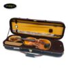 dan-violin-scott-cao-stv-017e