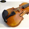 dan-violin-scott-cao-stv-017e (3)