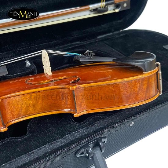 Đàn Violin Scott & Guan 017N Size 4/4 - Nhạc Cụ Tiến Mạnh