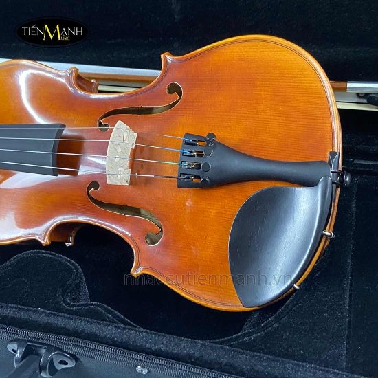 Đàn Violin Scott & Guan 017N Size 4/4 - Nhạc Cụ Tiến Mạnh