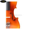 dan-violin-scott-guan-601-1-4-1-2-3-4-4-4 (3)